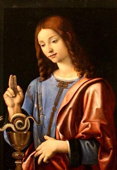 Piero di Cosimo Evangelist Norge oil painting art